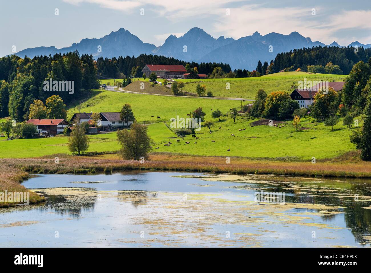 Biberschwöller See bei Steingaden im Allgäu Stock Photo