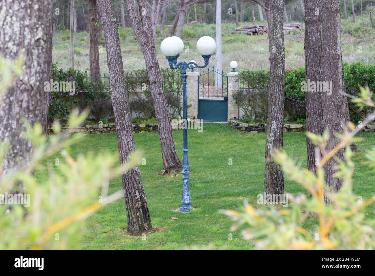 Old lantern between trees Stock Photo