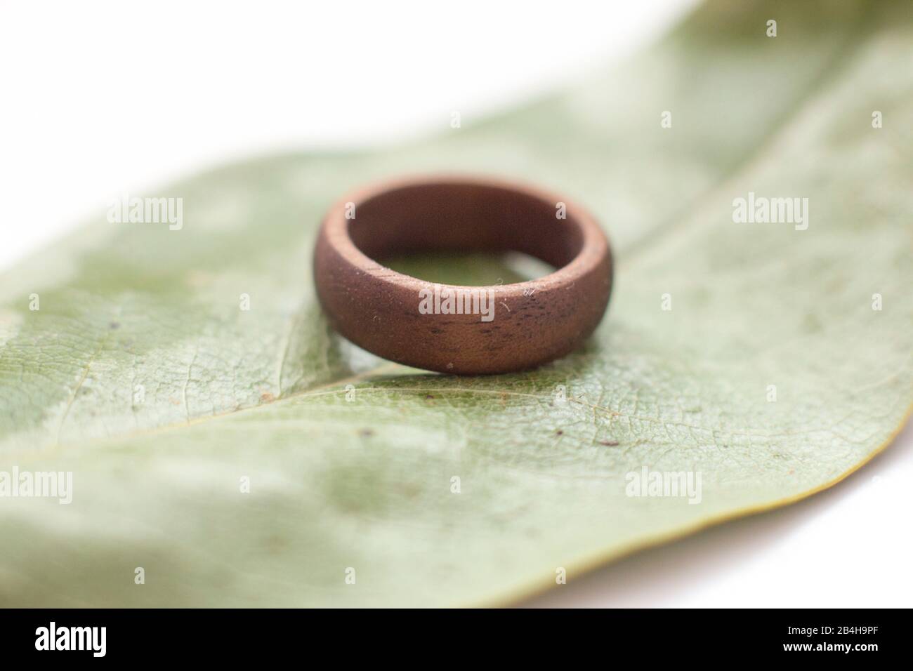 Turned wooden ring Stock Photo