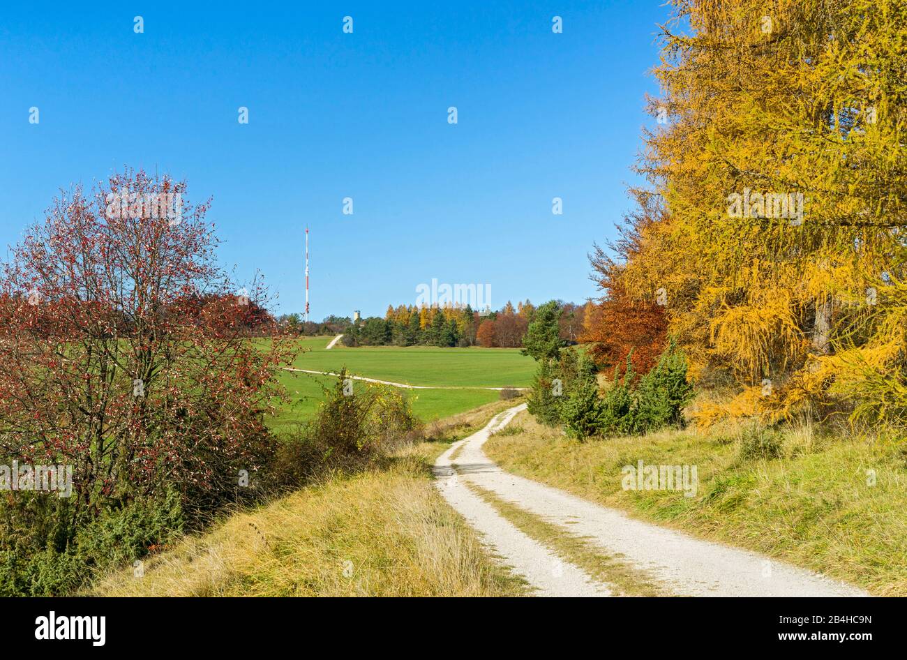 Germany, Baden-Württemberg, Albstadt-Onstmettingen, Swabian Alb, autumn on the Raichberg Stock Photo
