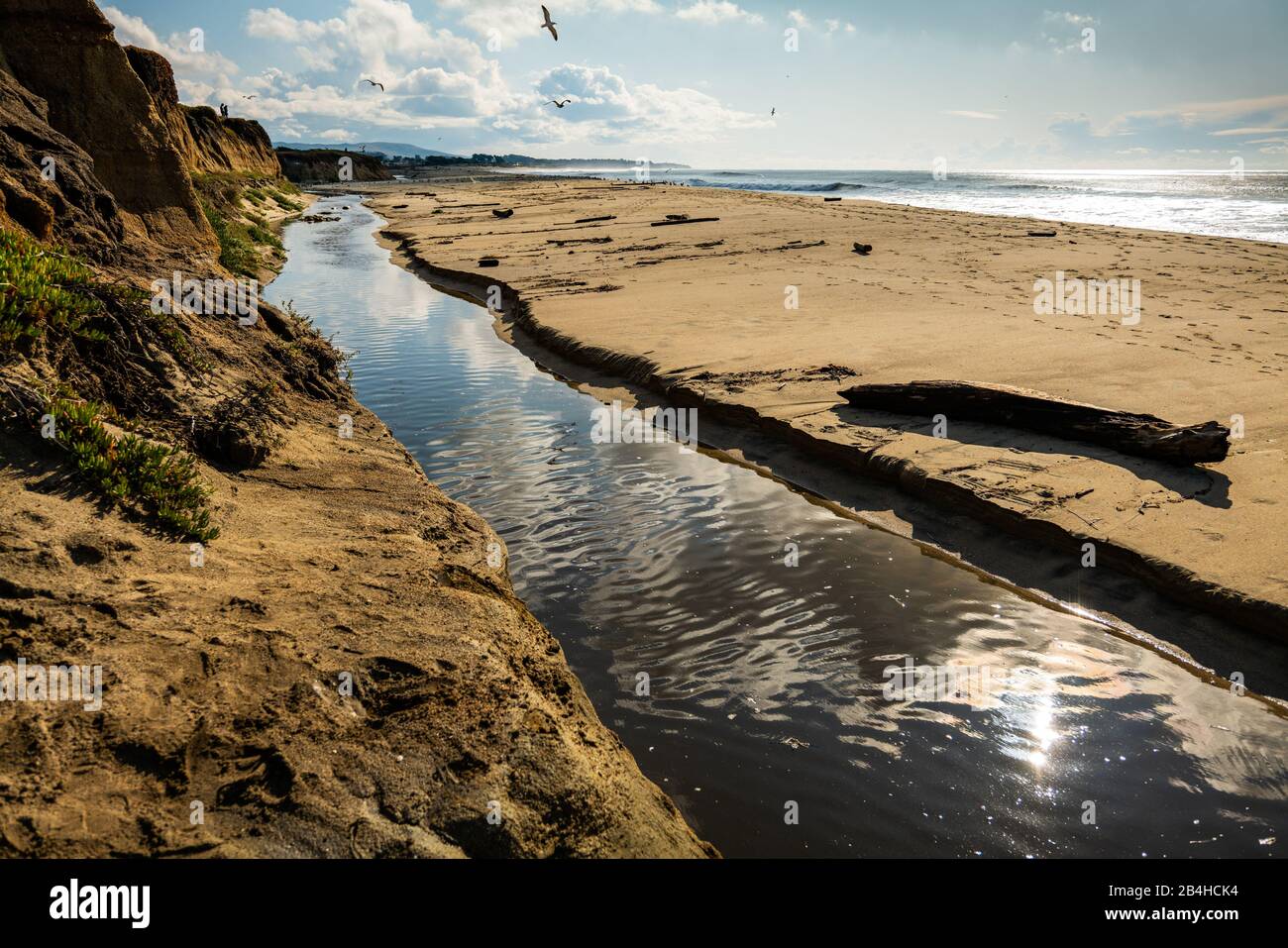 Fresh water stream at base of headlands on California beach Stock Photo