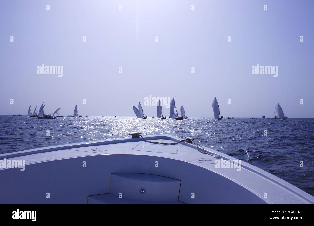 Traditional sailing dhows race at Abu Dhabi at Ghanada Dhow Sailing