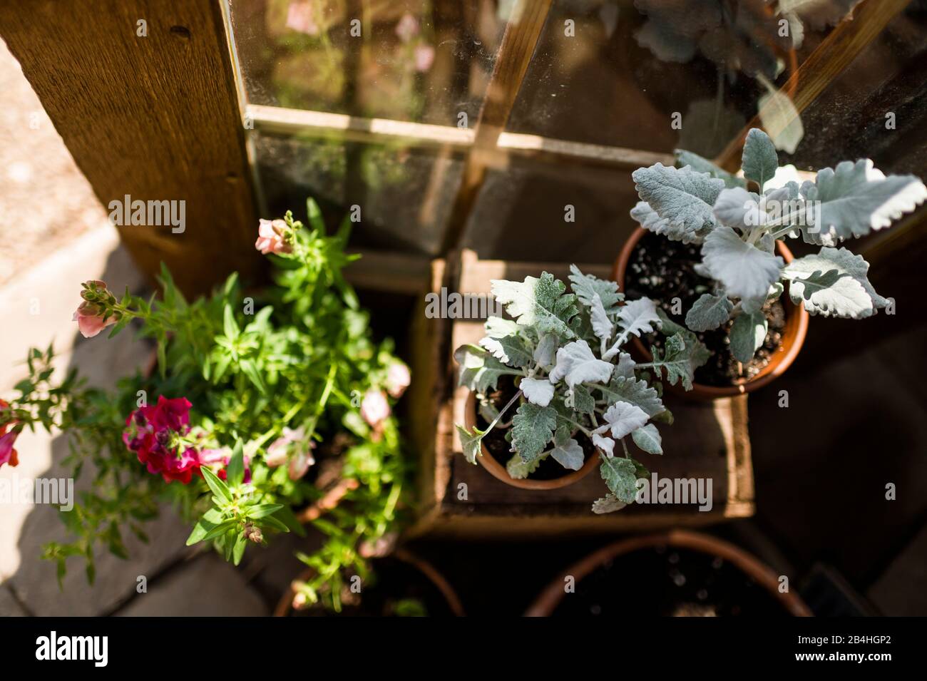 Pottend hires stock photography and images Alamy