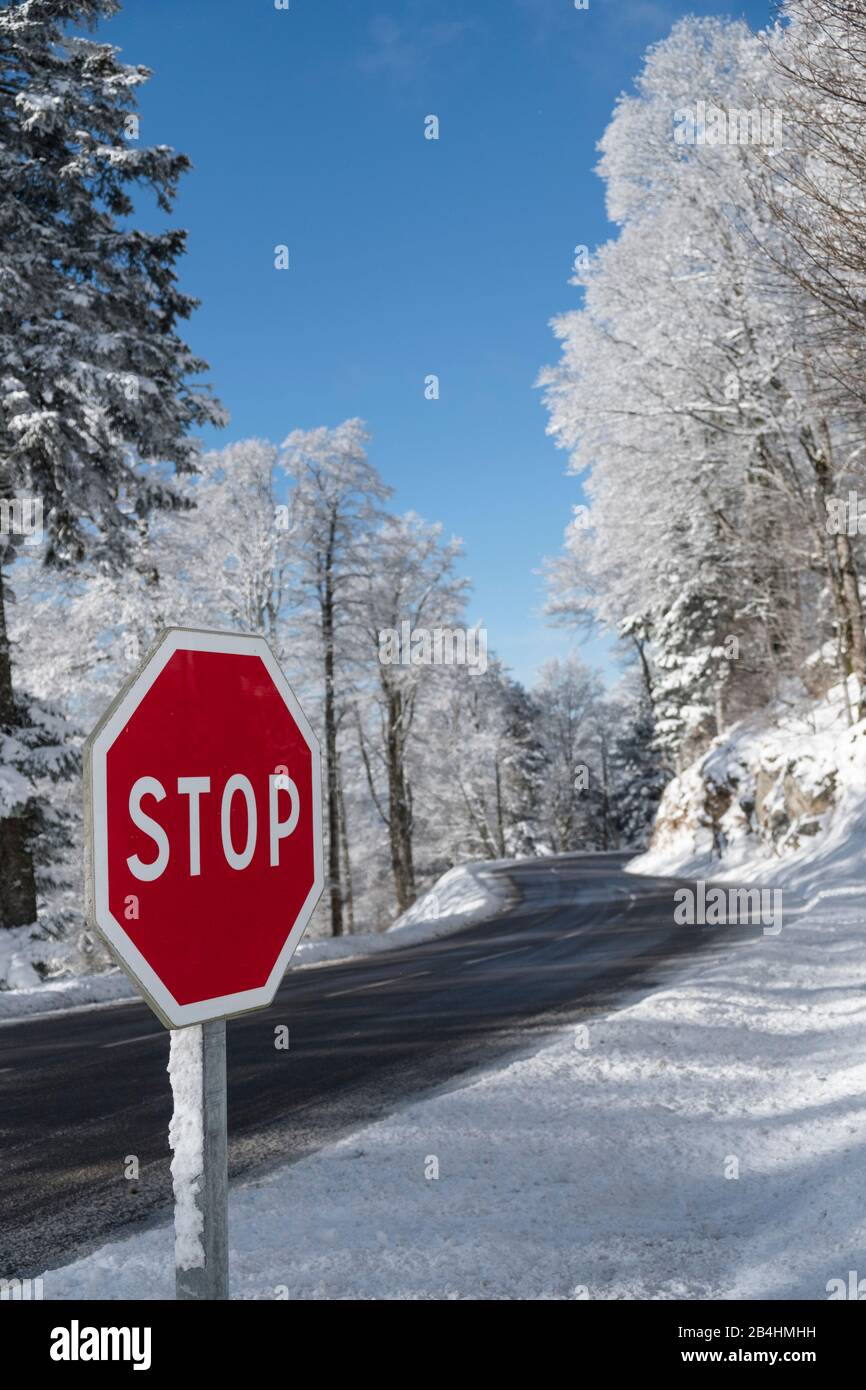 Stop-Schild an geräumter Straße durch den Wald im Winter mit schneebedeckten Bäumen in den Vogesen, Frankreich Stock Photo