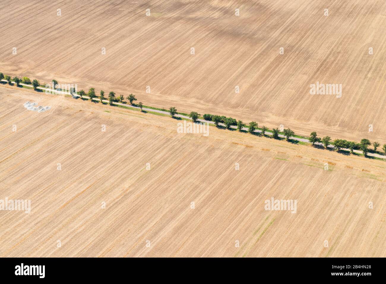 Luftaufnahme von abgeernteten Getreidefeldern, Landstraße mit Baumallee Stock Photo