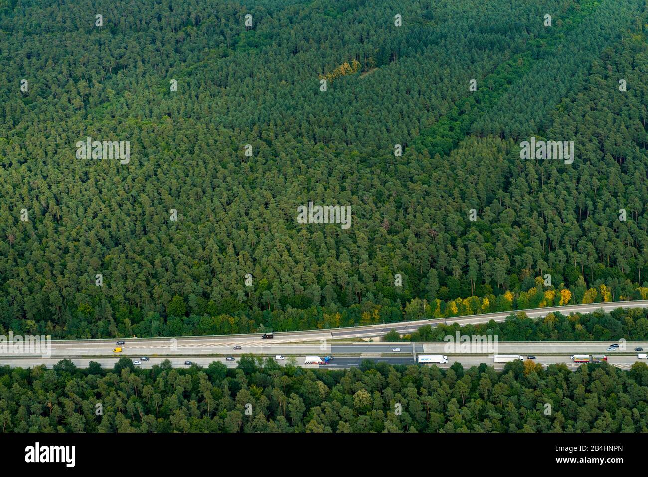 Aerial view of the A6 at the Hockenheim junction, motorway in the woods Stock Photo