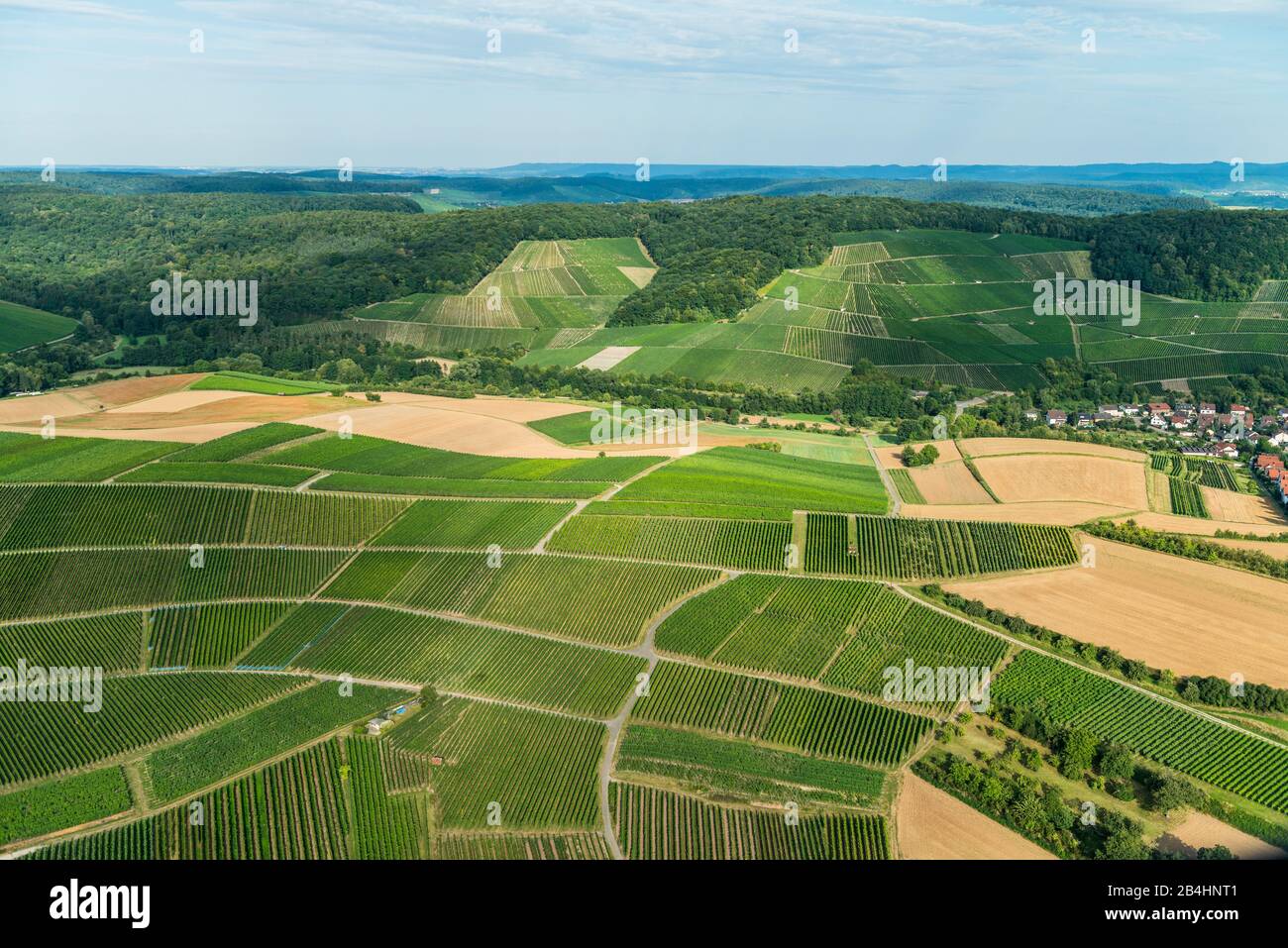 Luftaufnahme von Weinbergen Stock Photo