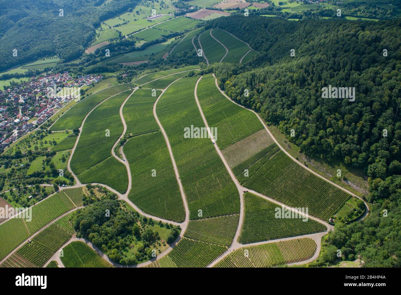 Luftaufnahme von Weinbergen in Süddeutschland am Rande einer Kleinstadt Stock Photo