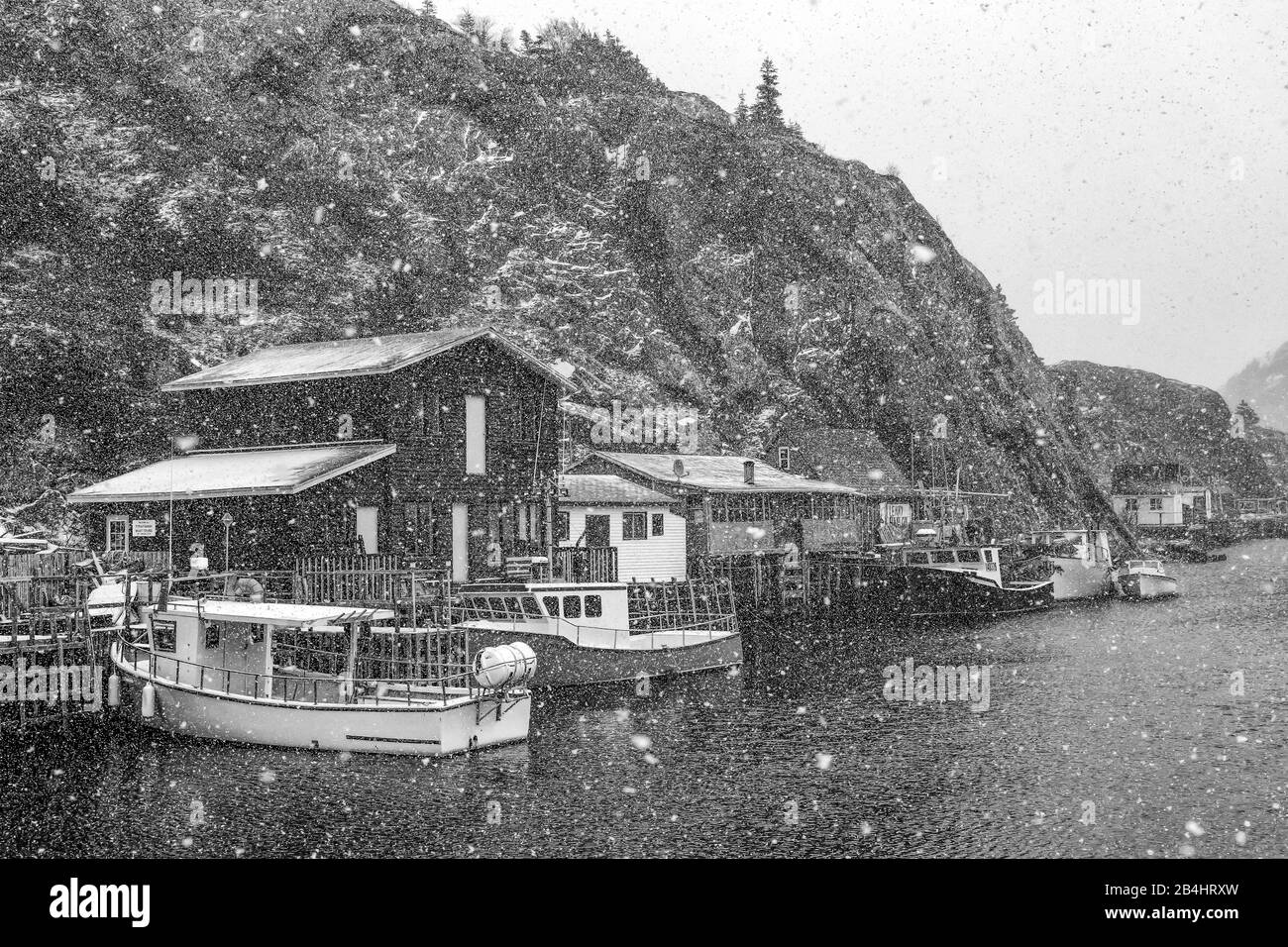 Snow falling on the colorful fishing village of Quidi Vidi, St. John's, Newfoundland, Canada [No property releases; available for editorial licensing Stock Photo
