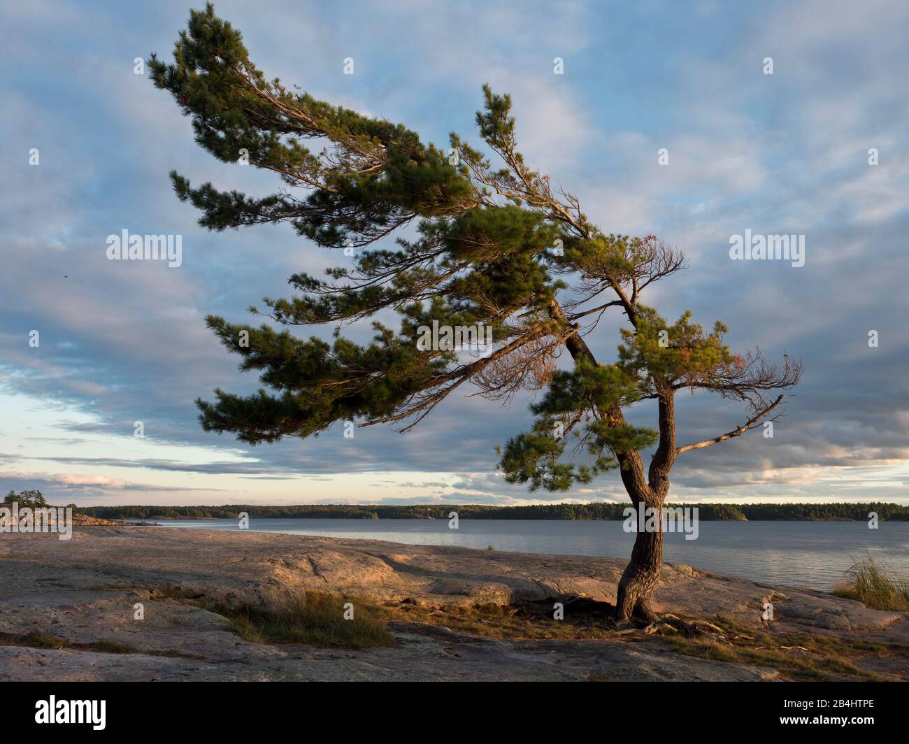Parry Sound, Georgian Bay, Ontario, Kanada, Killbear Provincial Park, Landscape Stock Photo
