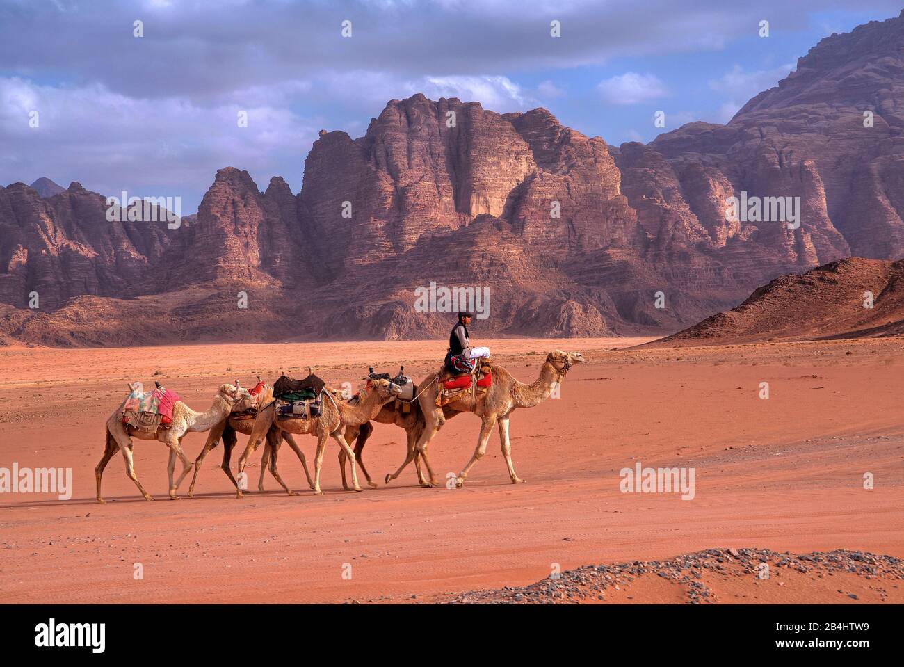 Landscape of rock and sand desert Wadi 