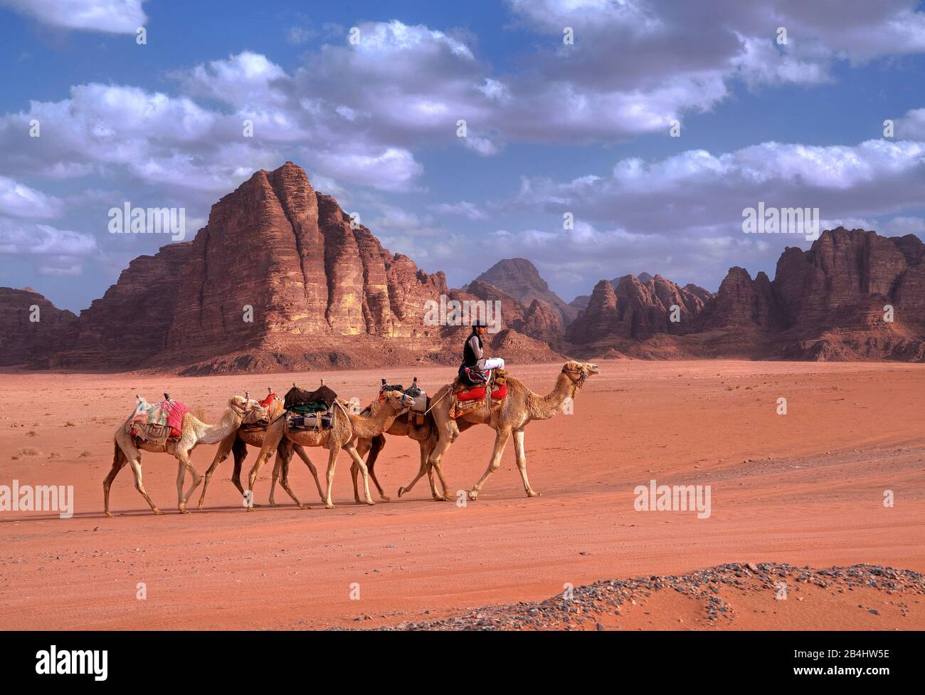 Rock group 'Seven pillars of wisdom' in the landscape of rock and sand desert Wadi Rum with group of camels east of Aqaba Aqaba, Jordan Stock Photo
