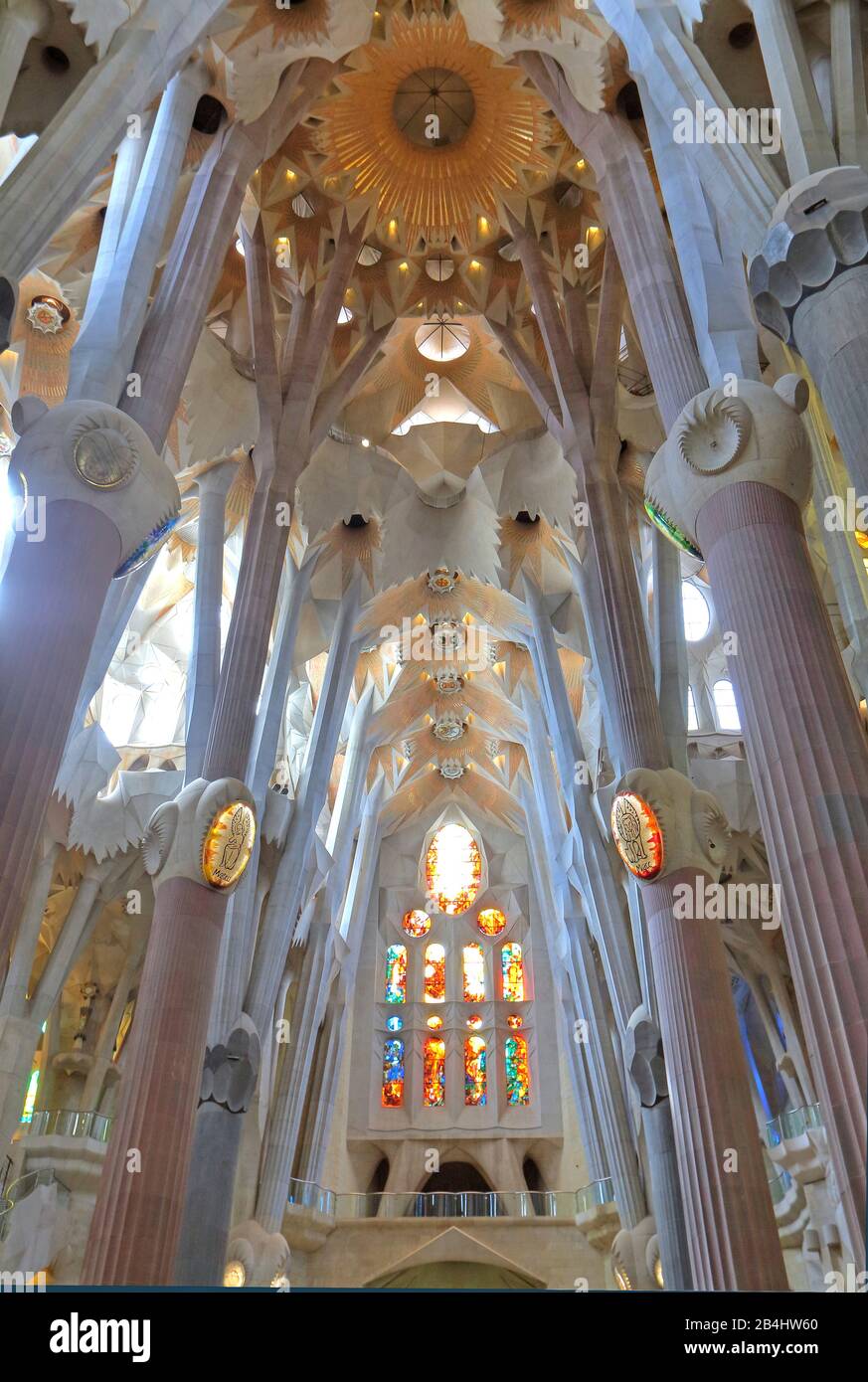 Church ceiling in the interior of the Sagrada Familia cathedral by Antoni Gaudi in Barcelona, Catalonia, Spain Stock Photo