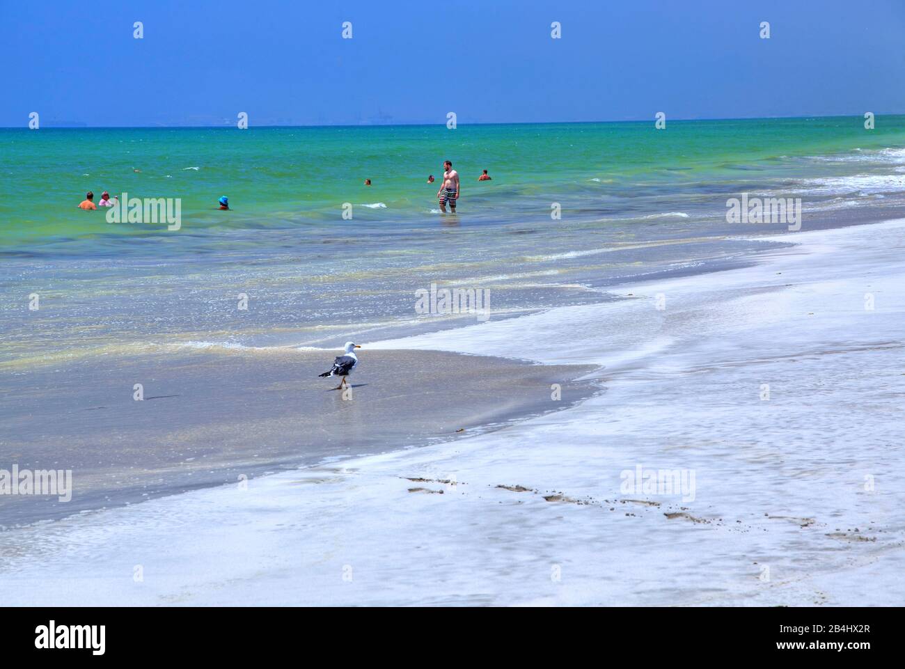 Beach with bathers, Salalah, Arabian Sea, Oman Stock Photo