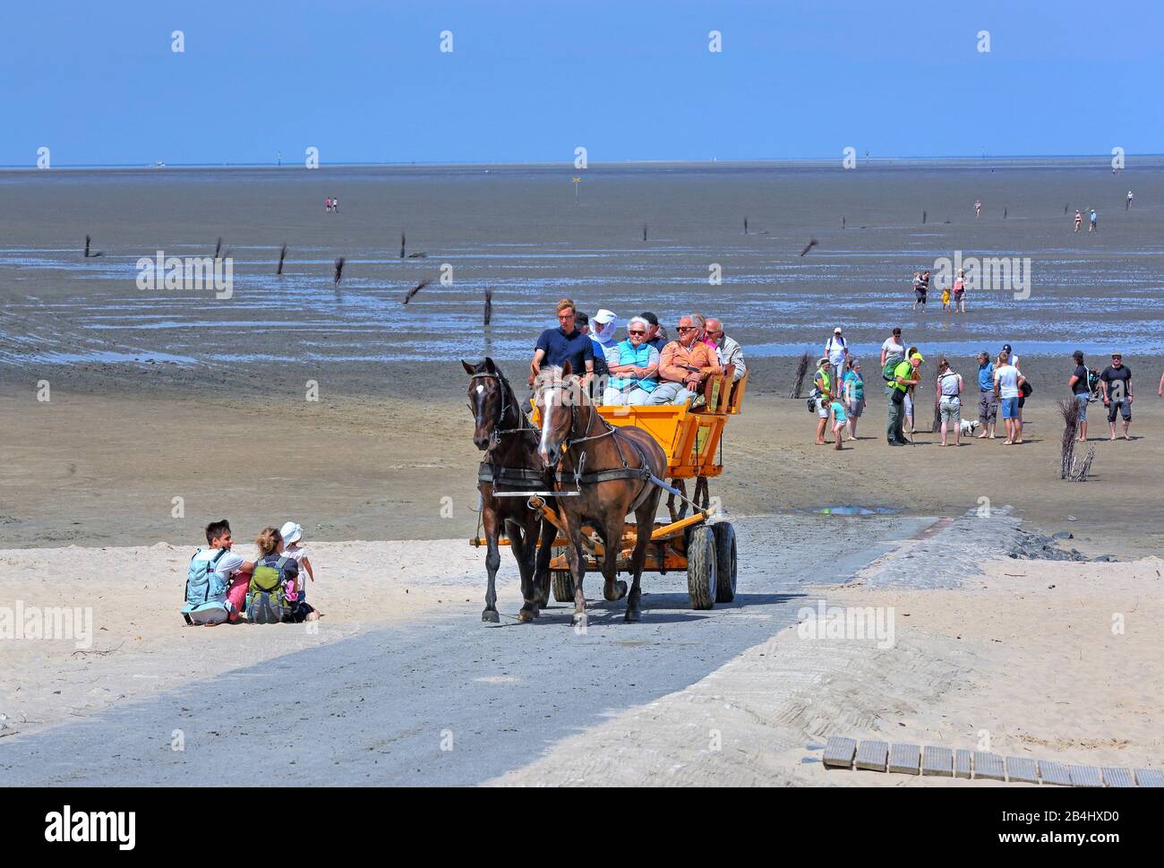Wadden Sea at low tide with Wattwagen in the district of Duhnen, North Sea  resort Cuxhaven, Elbe estuary, North Sea, North Sea coast, Lower Saxony,  Germany Stock Photo - Alamy