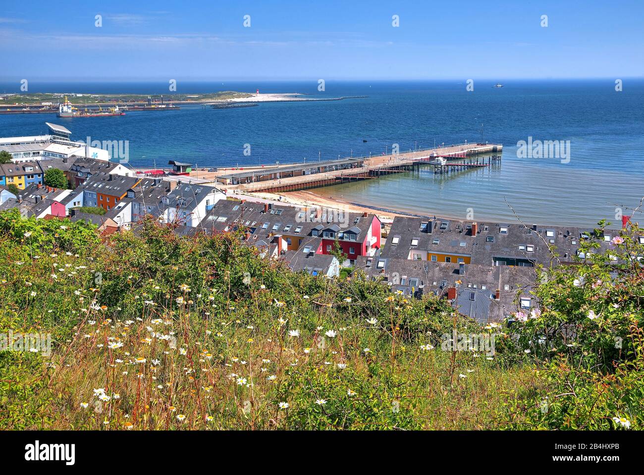 Land On Top Hi-res Stock Photography And Images - Alamy