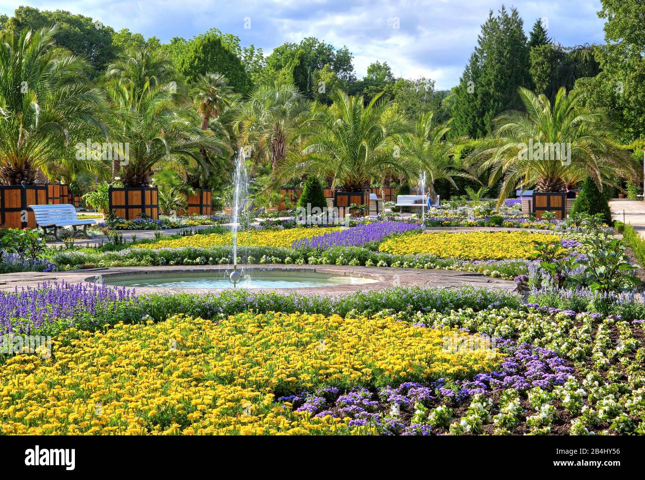 Palm garden with fountains and flower borders in the spa park Bad Pyrmont, Staatsbad Emmertal, Weserbergland, Lower Saxony, Germany Stock Photo