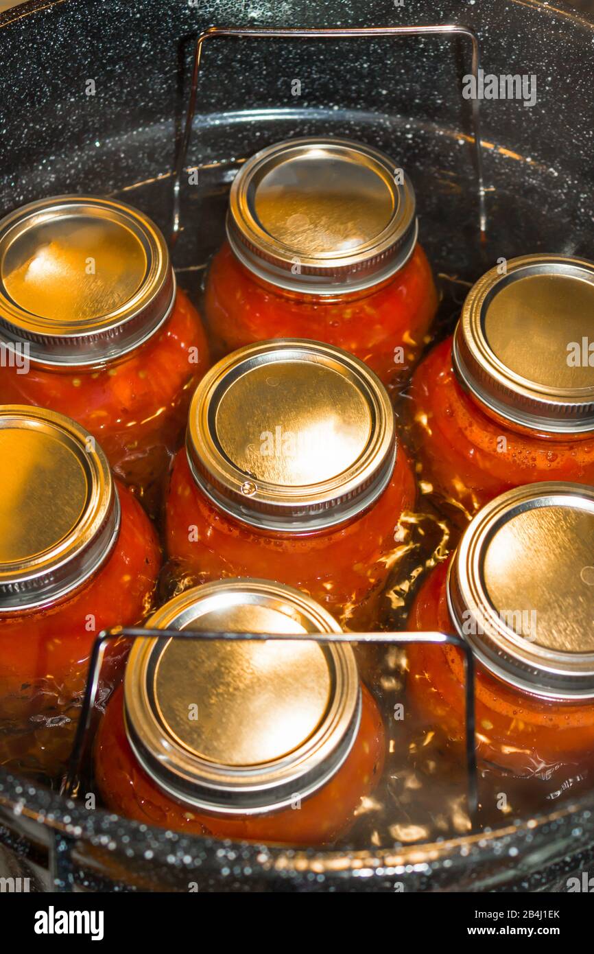 Tomatoes packed in glass jars in boiling water to seal the lids for preserving. Home grown tomatoes and stove top water bath canning. Stock Photo