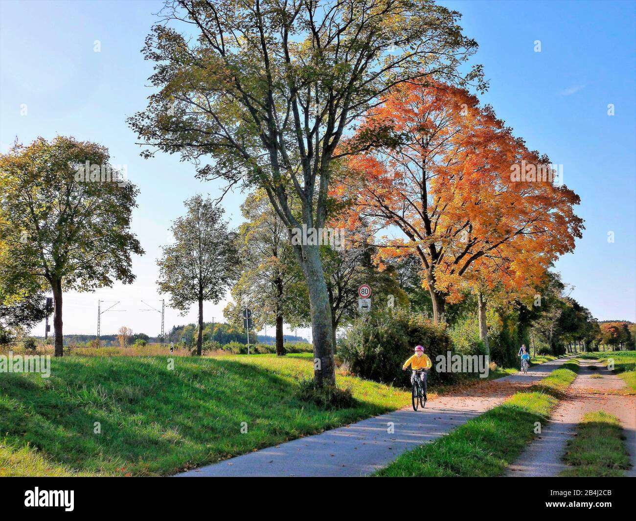 Germany, Bavaria, Germering, bike path at the Bodenseestraße, cyclists, autumn Stock Photo