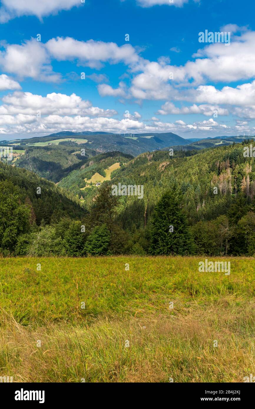 Landschaft in der Nähe von Furtwangen, Schwarzwald, Baden-Württemberg, Deutschland, Europa Stock Photo