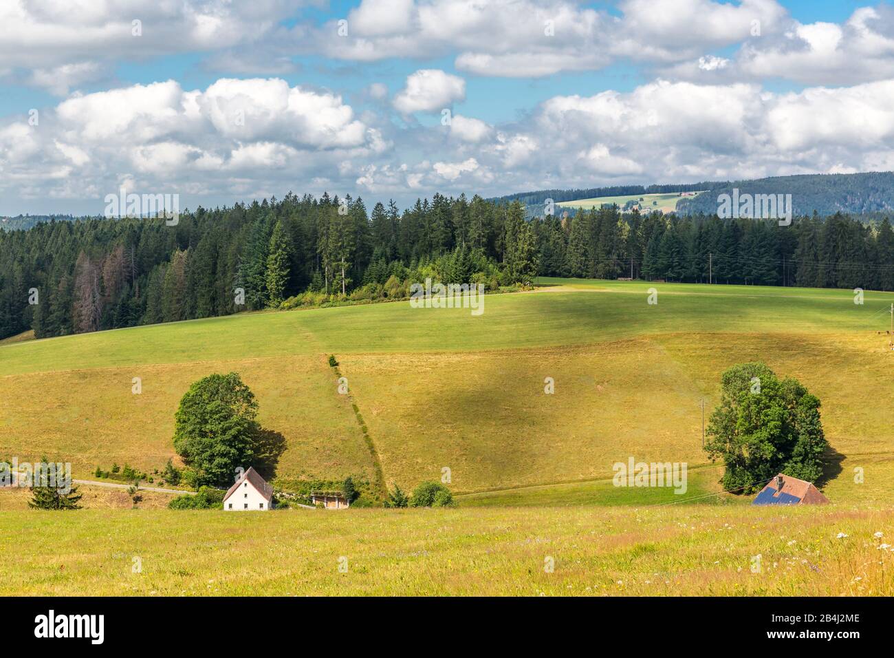 Landschaft in der Nähe von Schönwald, Schwarzwald, Baden-Württemberg, Deutschland, Europa Stock Photo