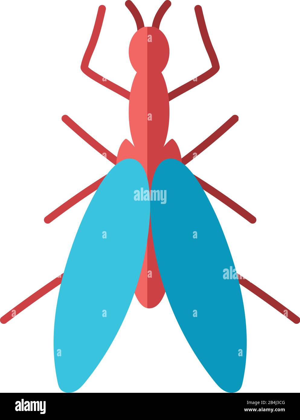 snakefly insect over white background, flat style icon, vector ...
