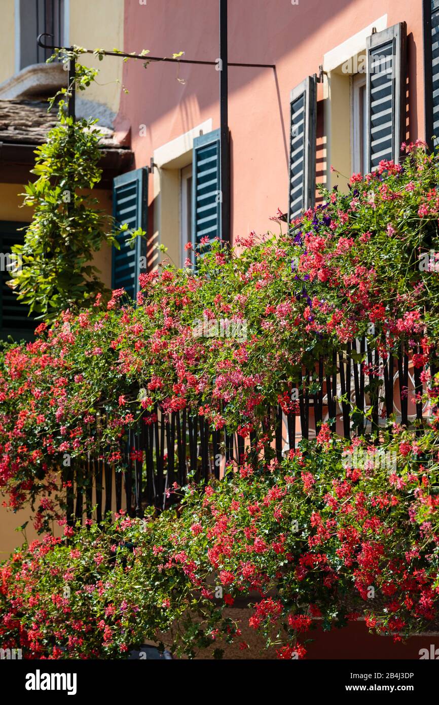 Europa, Italien, Piemont, Orta San Giulio. Üppig mit Blumen bewachsene Balkone in der Altstadt. Stock Photo