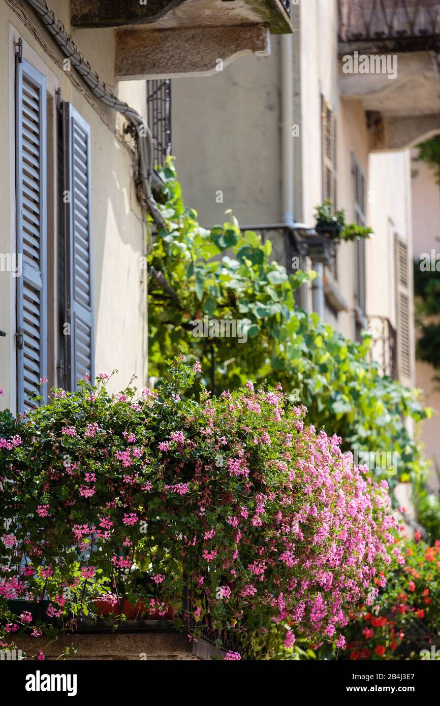 Europa, Italien, Piemont, Orta San Giulio. Üppig mit Blumen bewachsene Balkone in der Altstadt. Stock Photo