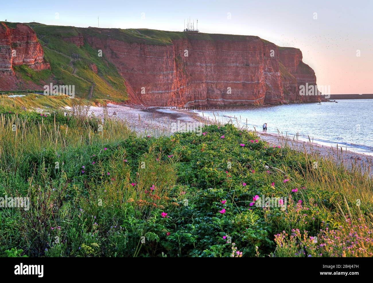 North beach with cliffs in the evening sun, Heligoland, Helgoland Bay, German Bight, North Sea island, North Sea, Schleswig-Holstein, Germany Stock Photo