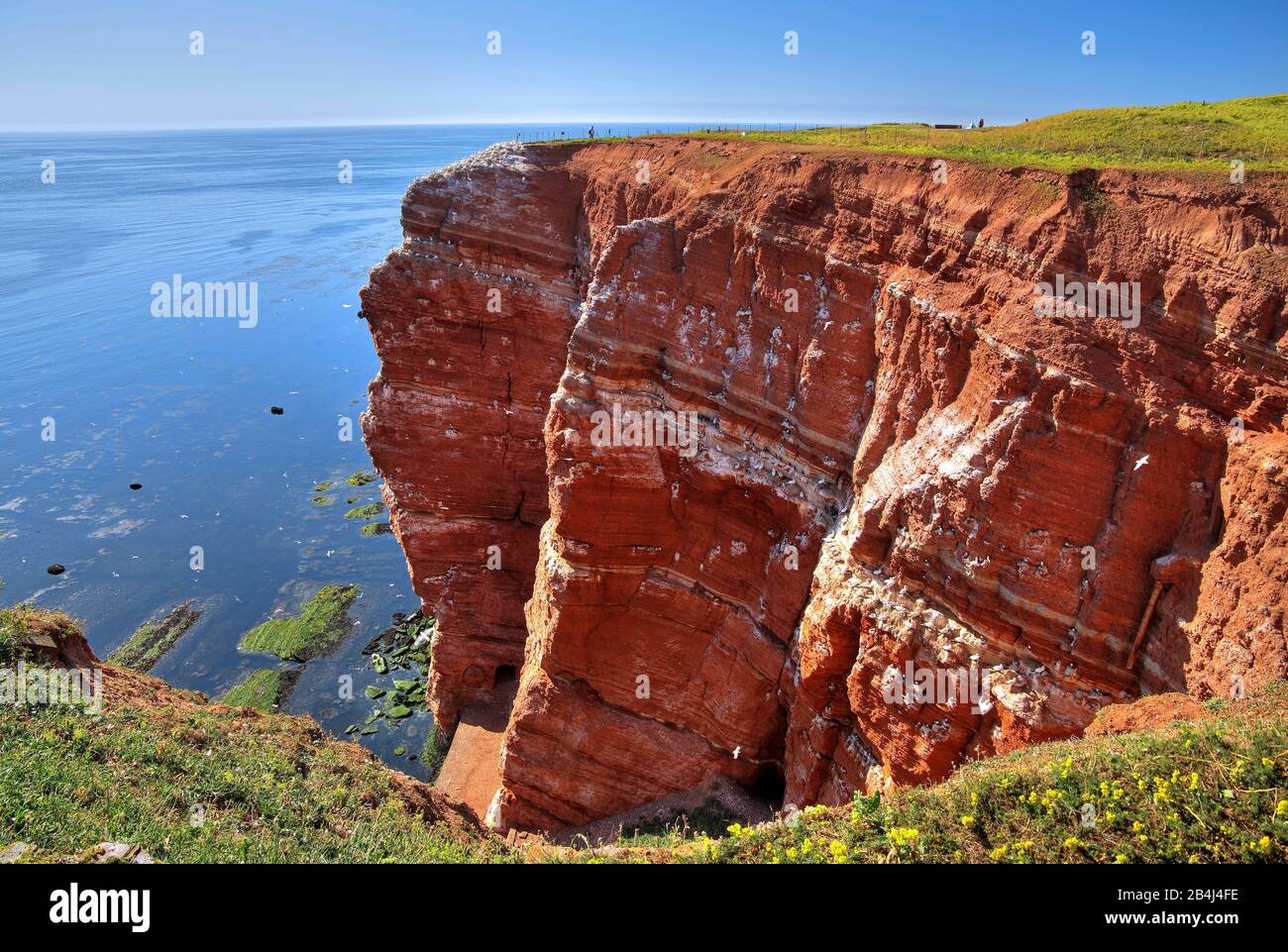 Northwestern cliff, Heligoland, Heligoland Bay, German Bight, North Sea island, North Sea, Schleswig-Holstein, Germany Stock Photo