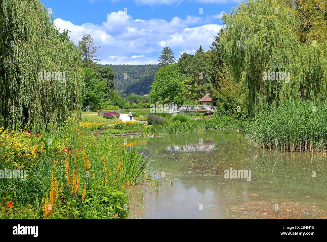 Malerblick with pond in the spa park Bad Pyrmont, Staatsbad Emmertal, Weserbergland, Lower Saxony, Germany Stock Photo