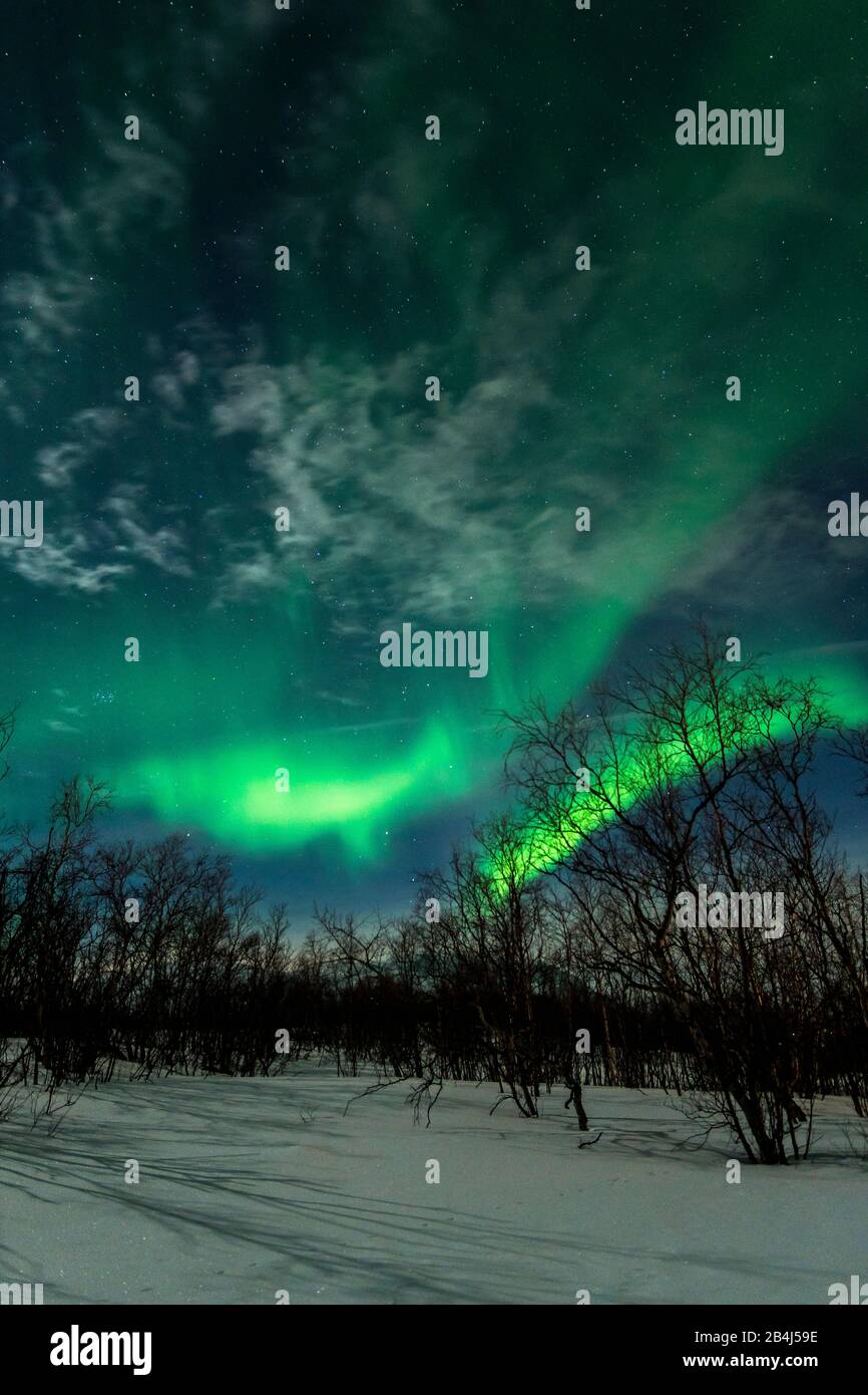 Schweden, Lappland, Polarlicht über schneebedeckter Landschaft im Mondschein Stock Photo