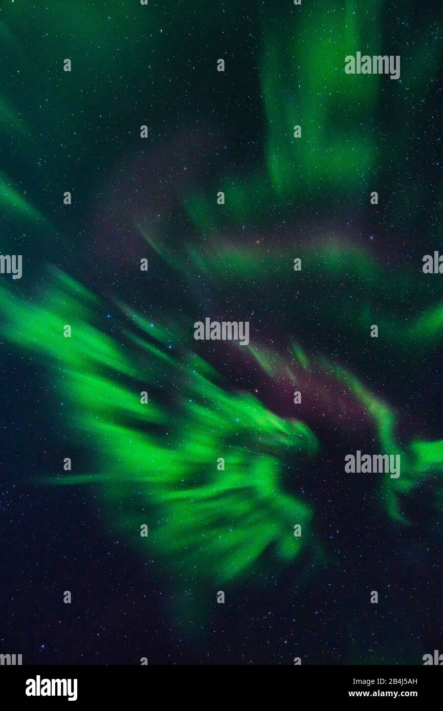 Aurora Borealis über Lappland, Sonnensturm, Corona, Zenit mit Sternbild 'Großer Wagen' und Polarstern Stock Photo