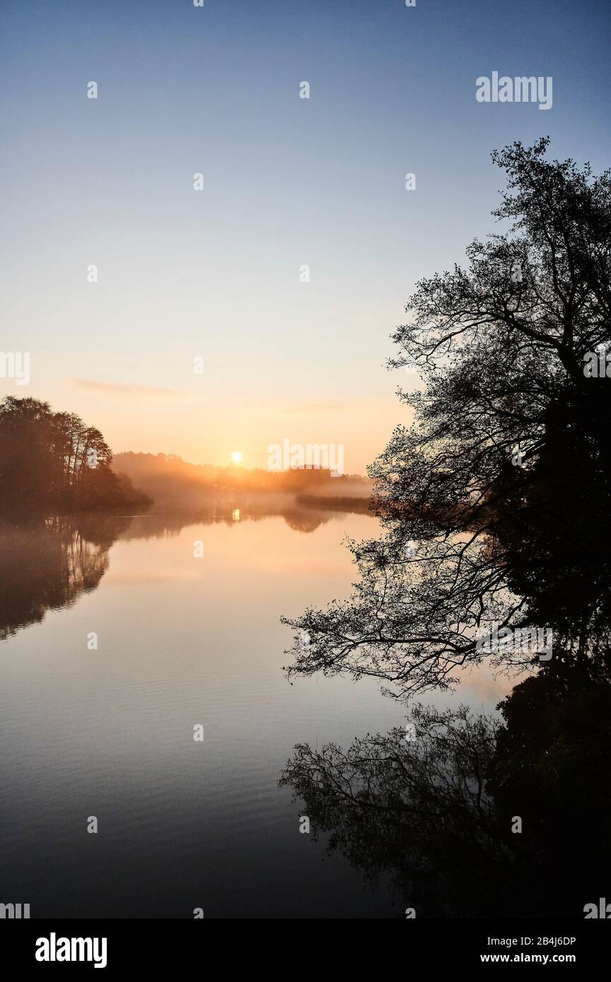 Nature, Germany, Lower Saxony, Lüneburg Heath, Brietlingen, Lüdershausen, Reihersee, sunrise, fog Stock Photo
