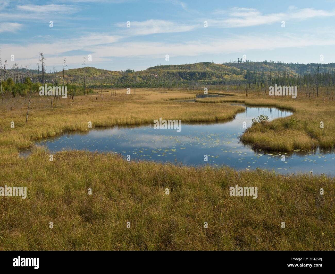 Algoma Region, Autumn, Kanada, Landscape, Swamp, Ontario, Wilderness Stock Photo