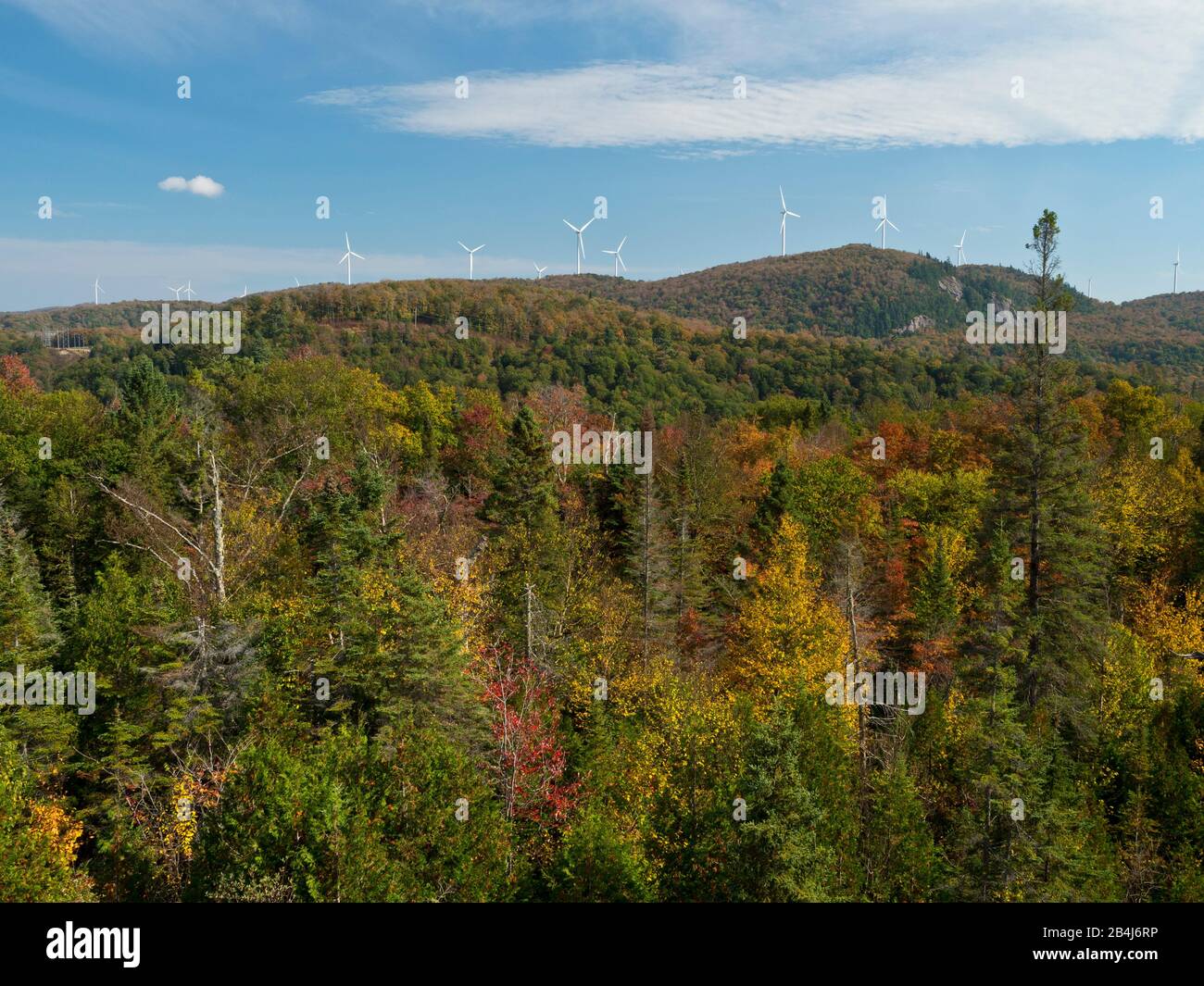 Algoma Region, Autumn, Kanada, Forest, Landscape, Ontario Province