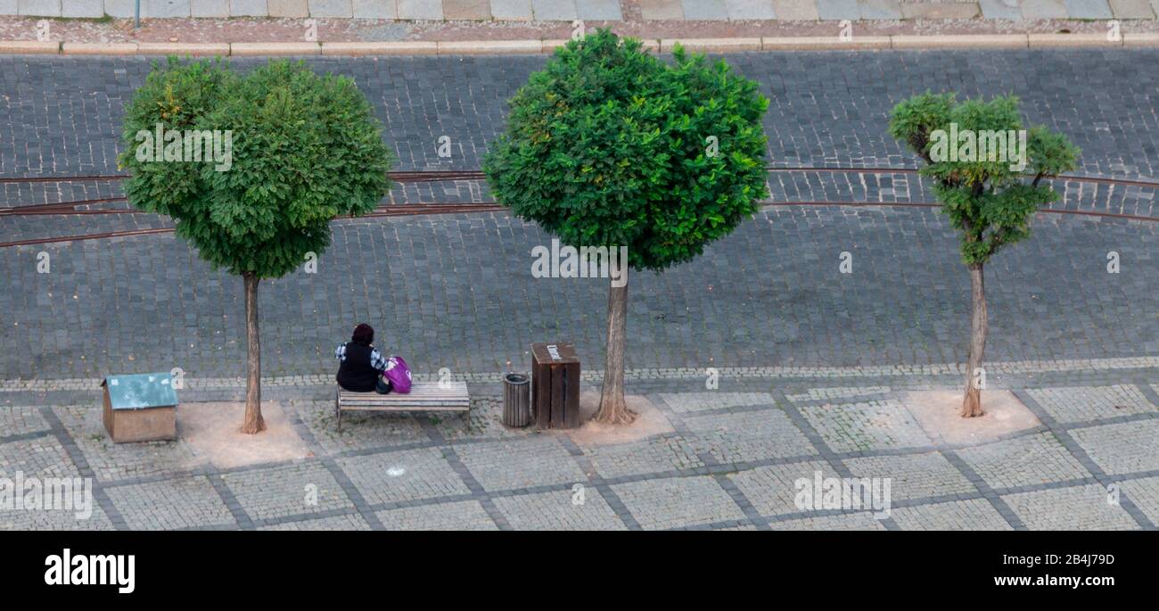 Germany, Saxony-Anhalt, Naumburg, passerby sits on park bench, three trees, Marktplatz Naumburg, World Heritage City in Saxony-Anhalt. Stock Photo