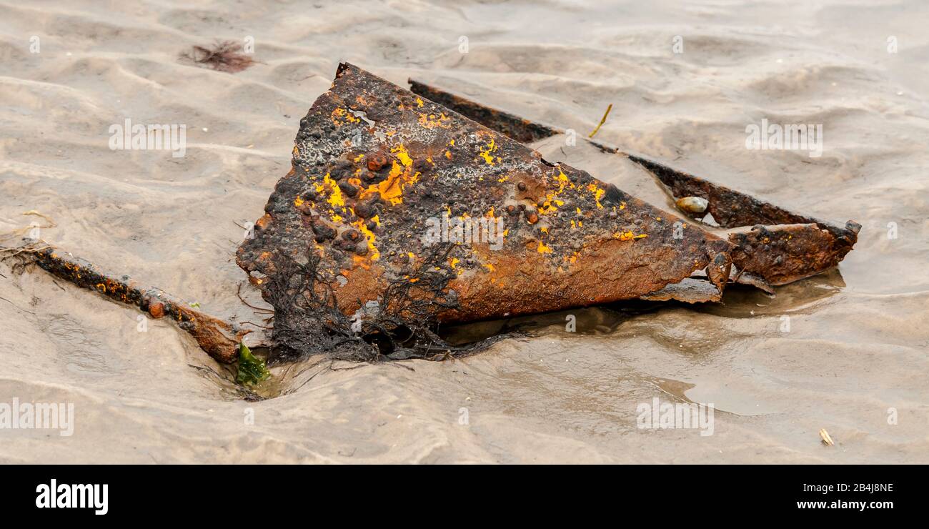 north sea, flotsam and jetsam Stock Photo Alamy