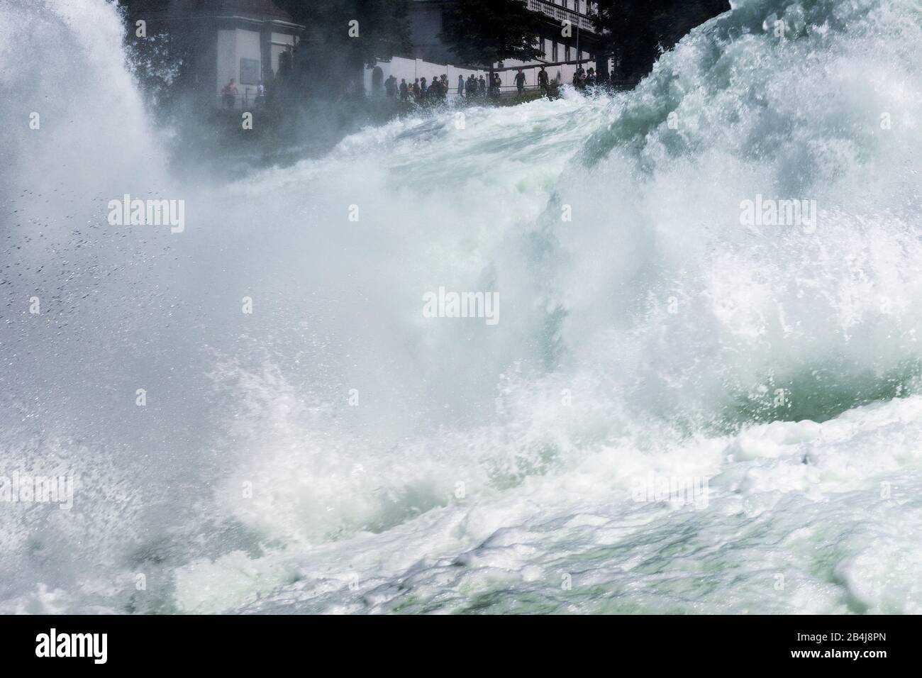 Rheinfall bei Schaffhausen, Blick zum anderen Ufer, stürzendes Wasser Stock Photo