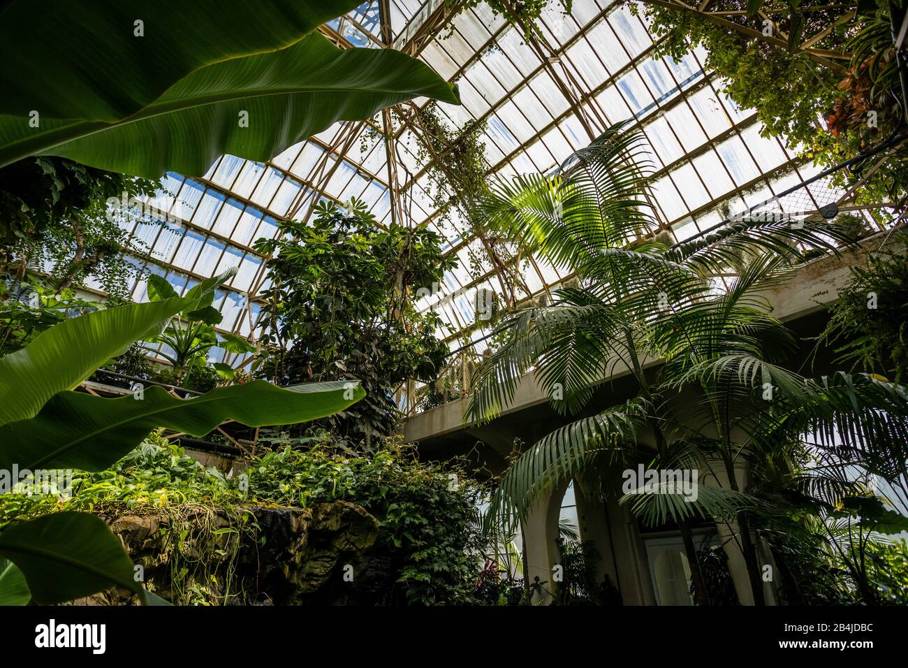 Greenhouse, Conservatory, Conservatory Greenhouse, Christchurch Botanic Gardens, New Zealand