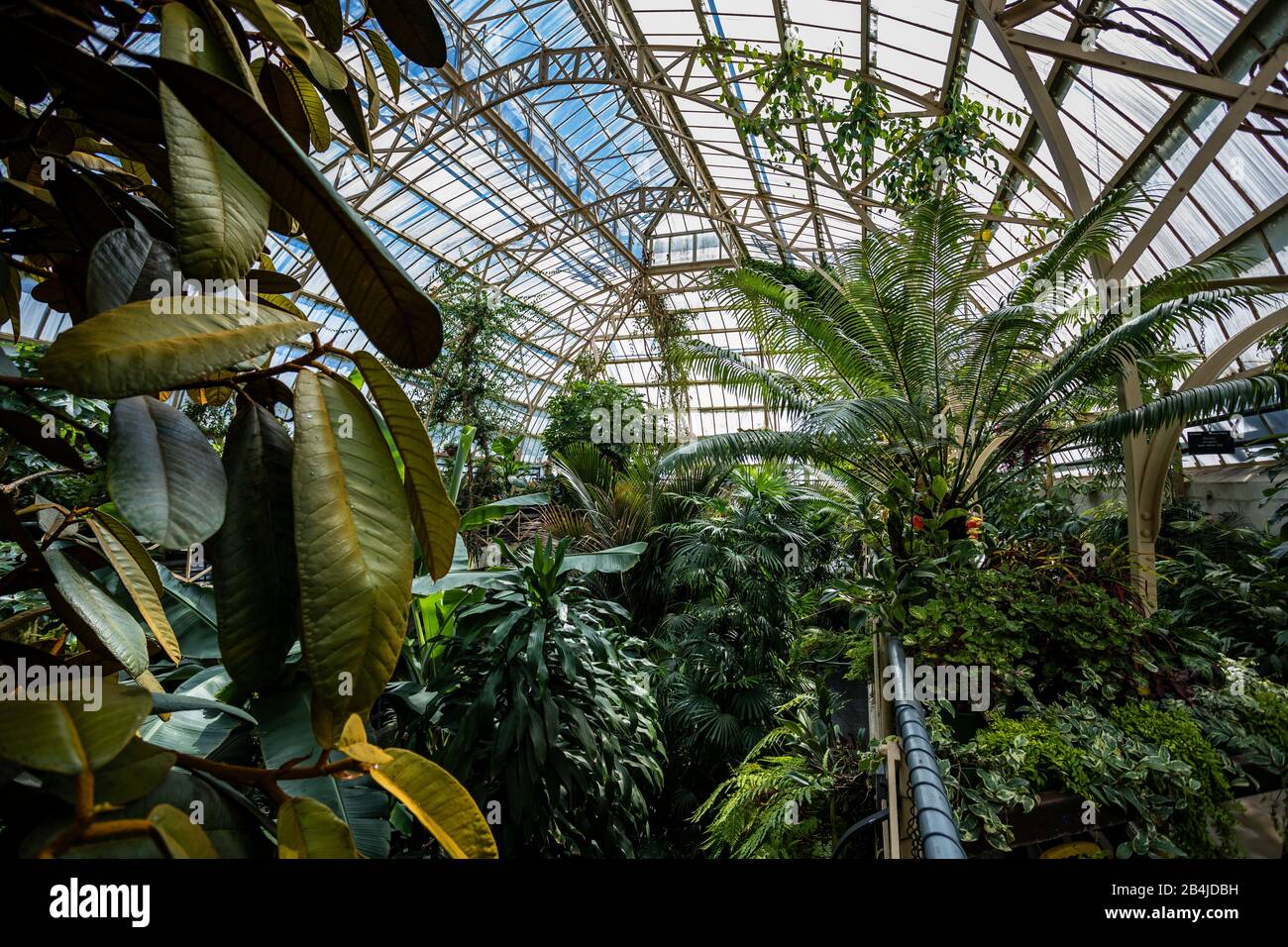Greenhouse, Conservatory, Conservatory Greenhouse, Christchurch Botanic Gardens, New Zealand