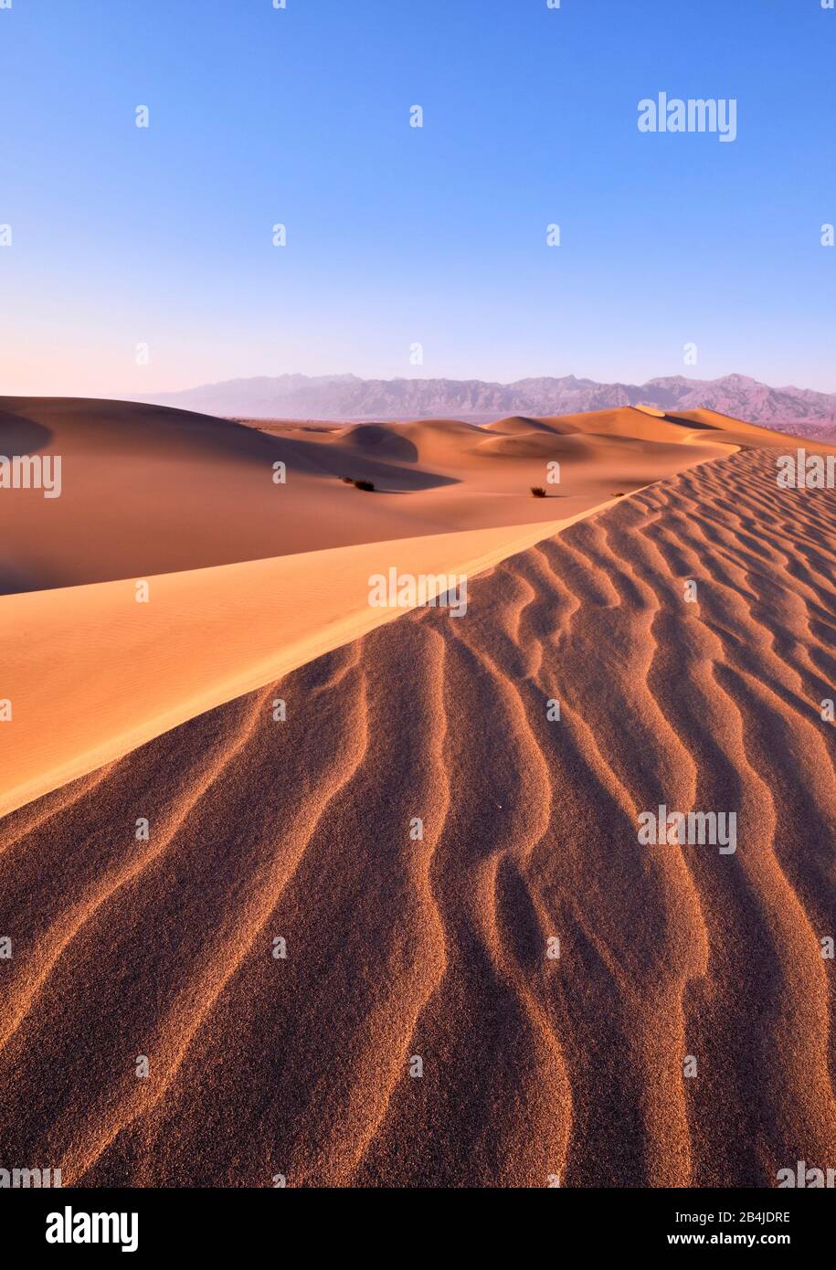 USA, United States of America, Nevada,  Death Valley National Park, Mesquite Sand Dunes, Sierra Nevada, California Stock Photo