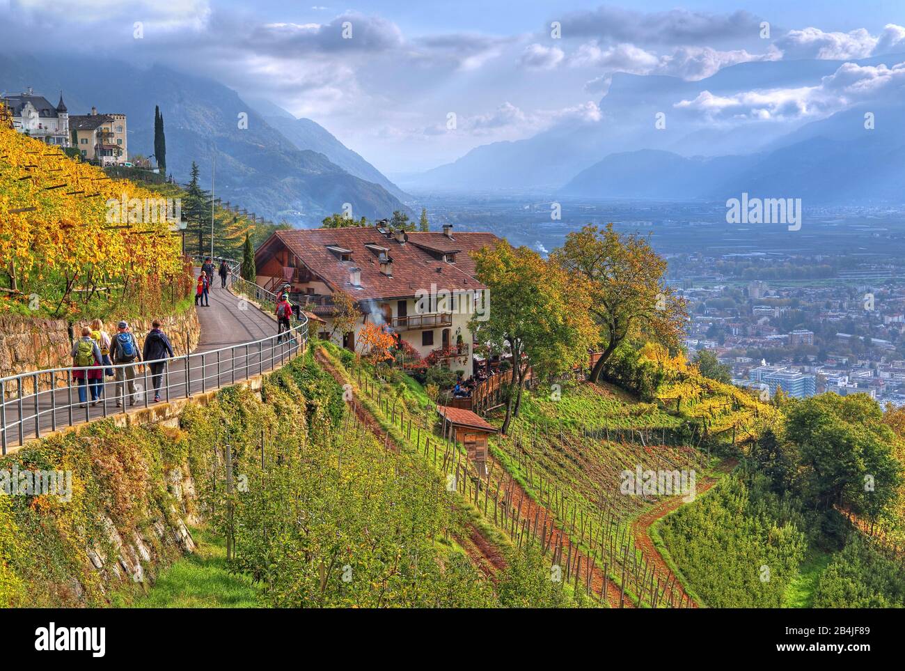 Promenade at the village with a view of the Adige Valley, Dorf Tirol, Burggrafenamt, South Tyrol, Italy Stock Photo