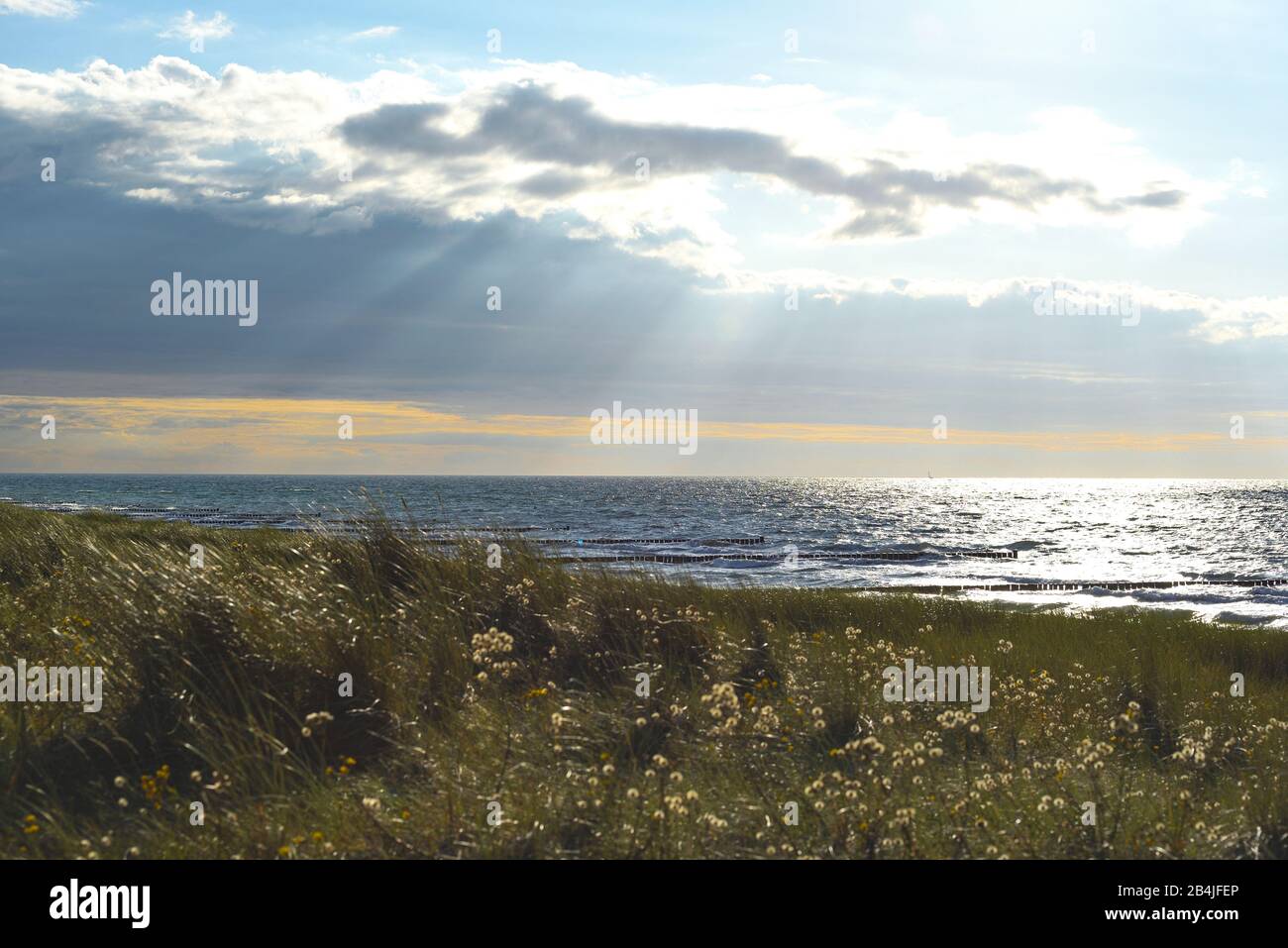 Glittering evening mood with last rays of sunshine over dune, beach and Baltic Sea in the summer Fischland-Darß Stock Photo