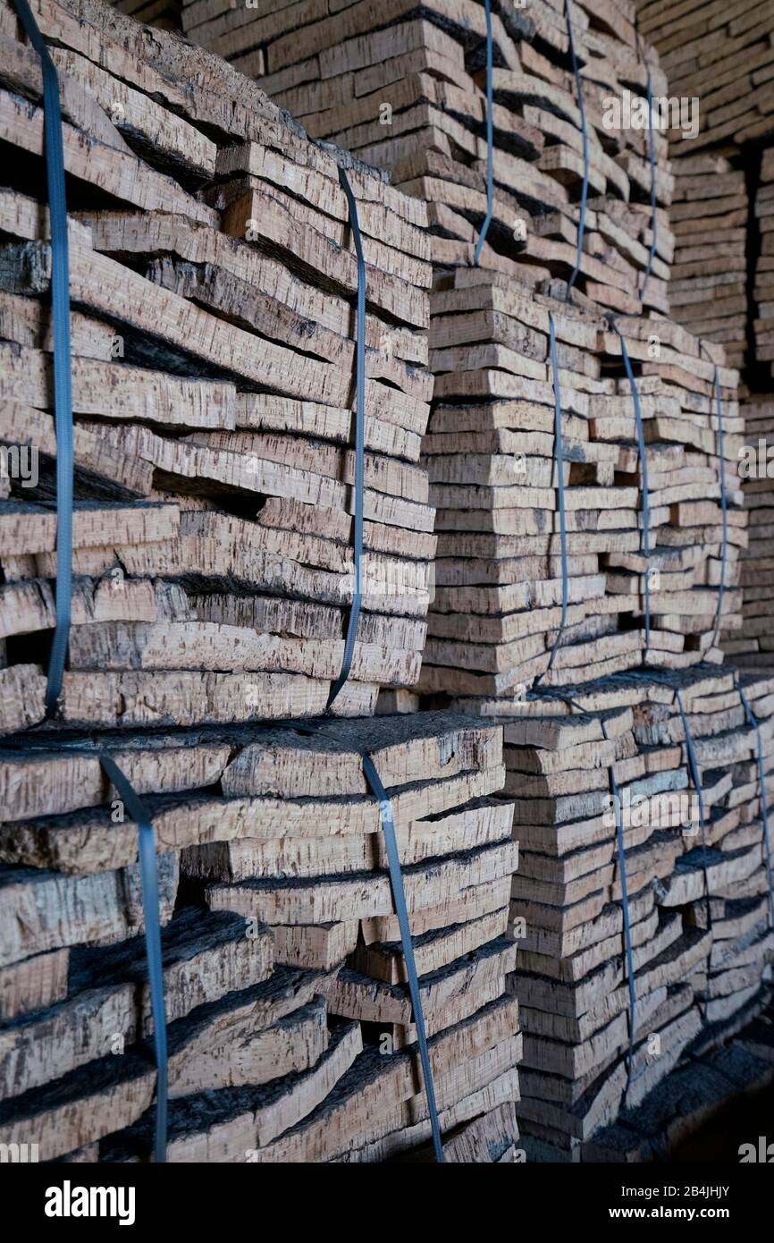 Europe, Portugal, Alentejo region, Evora, cork factory, inside, cut