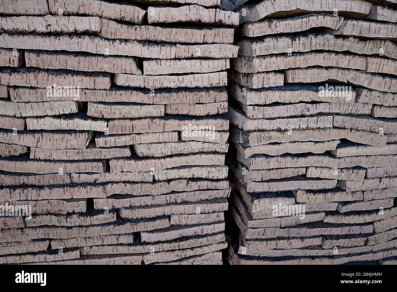 Europe, Portugal, Alentejo region, Evora, cork factory, inside, cut