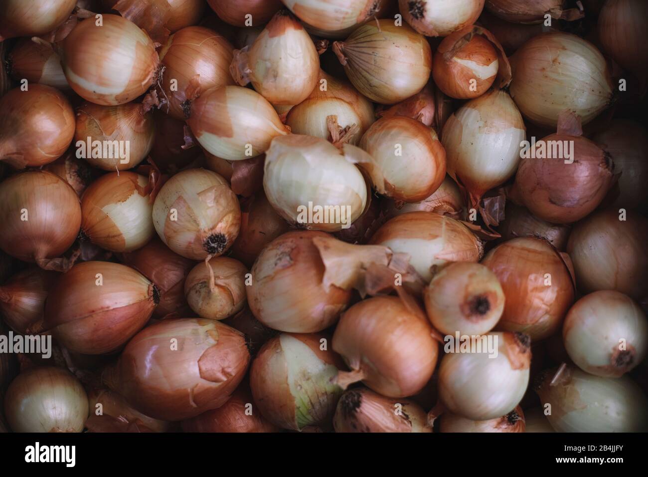 Lots of onions for sale, close-up Stock Photo