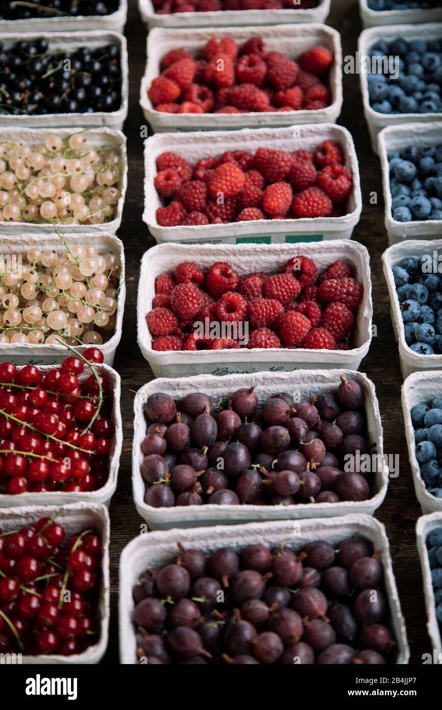 Types of berries hi-res stock photography and images - Alamy