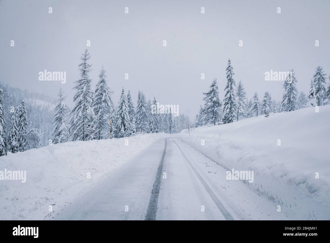 Snow covered mountain road through the forest, passo Tre Croci, Dolomites, Belluno, Italy Stock Photo