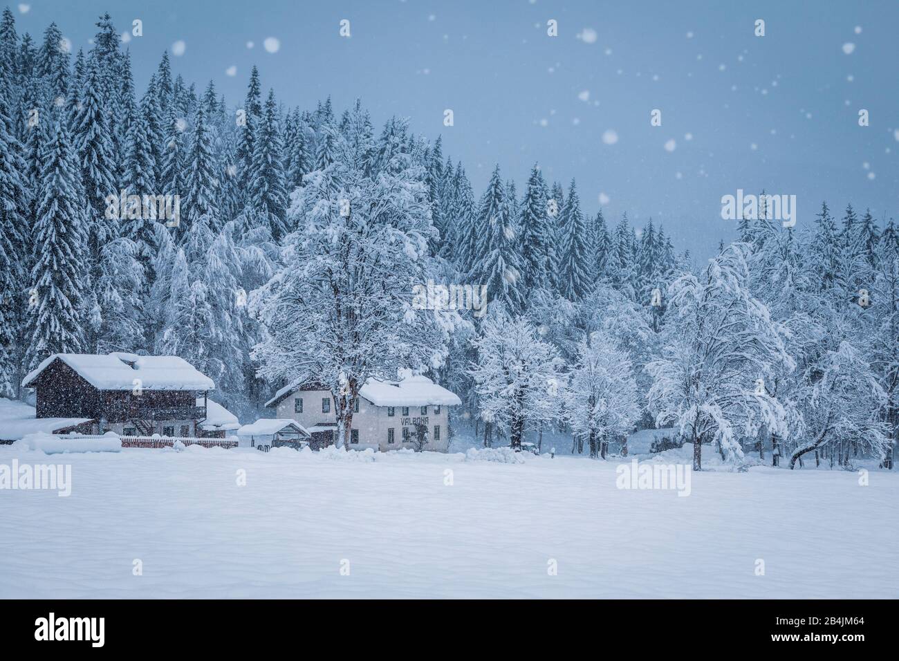 rural winter scenery in the ansiei valley, federavecchia, auronzo di cadore, dolomites, belluno, veneto, italy Stock Photo